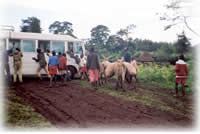 people around a coach in Kenya